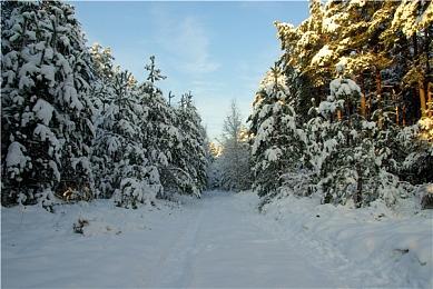 《罪恶王权》发售一周销量突破5万 官推发文感谢玩家